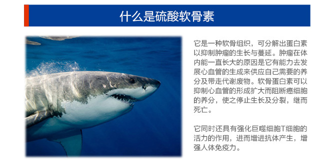 鲨鱼软骨素ok_13.jpg